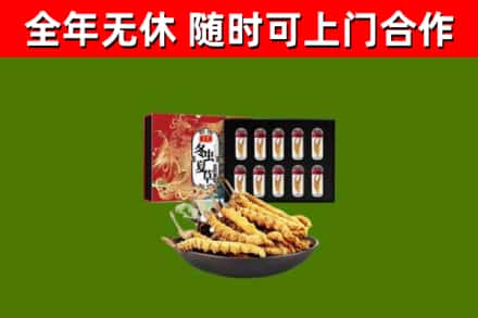 夹江烟酒回收冬虫夏草礼盒.jpg